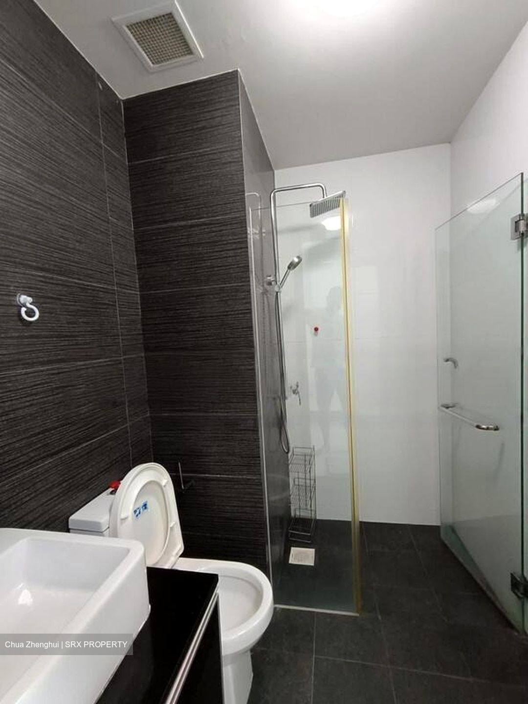 Loft @ Rangoon (D8), Apartment #480327501